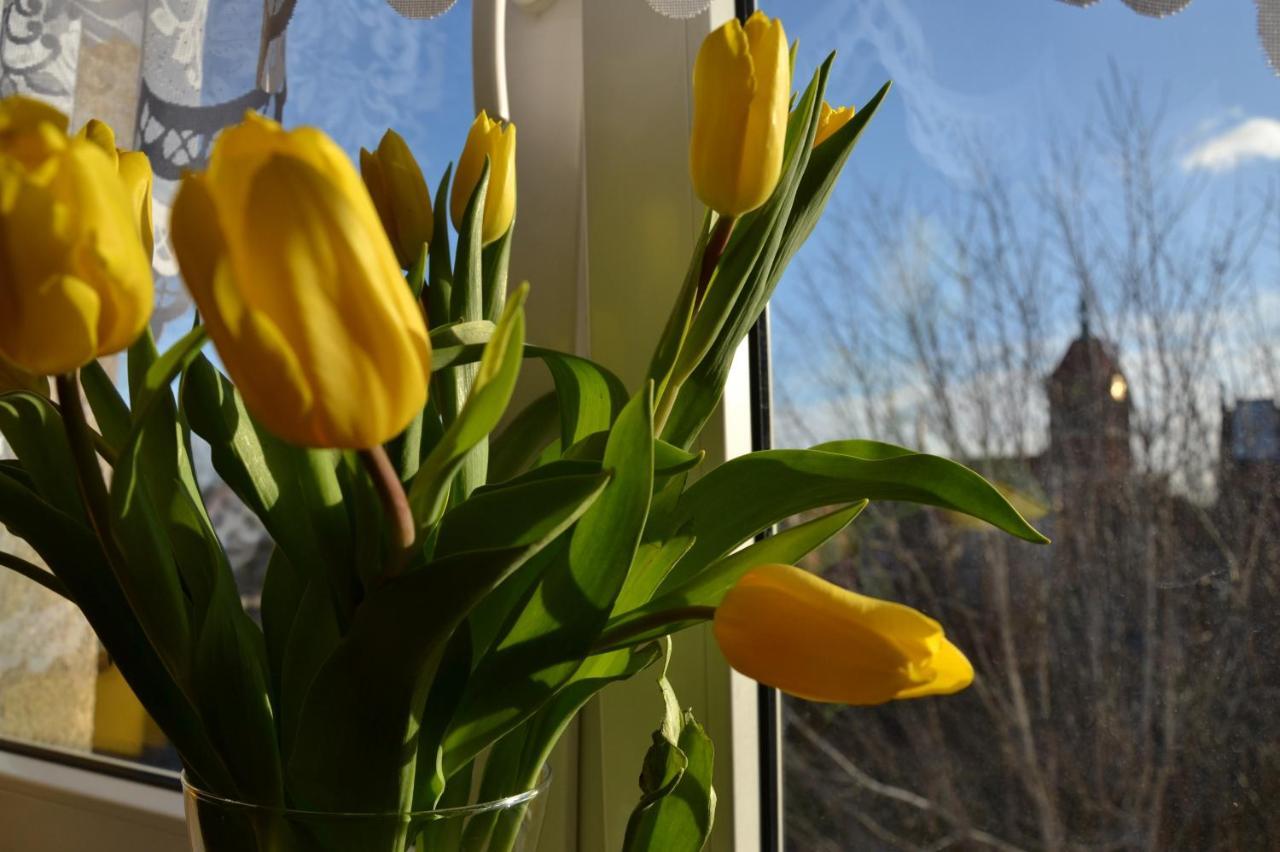 Romantic Old Huoneisto